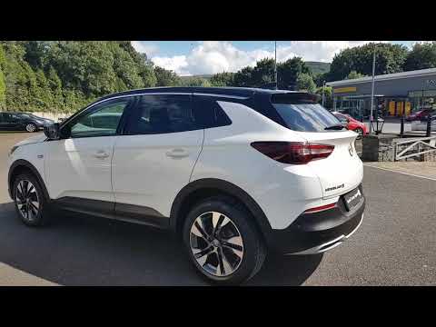 191D41366 - 2019 Opel GRANDLAND X SRI 1.6 TURBO D 12