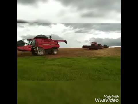 Respeita que o sistema aqui é diferente