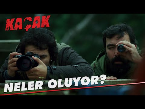 Orada neler oluyor? - Kaçak