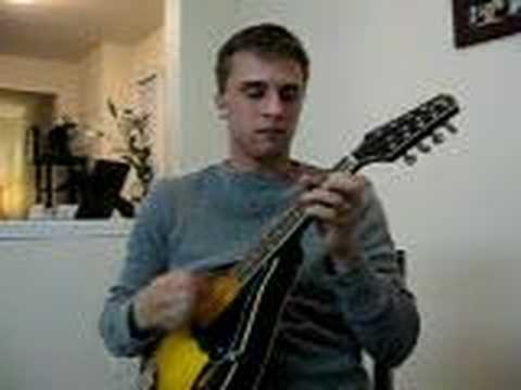 JohnCri the Cricket on Mandoline:"The Pretender"Foo Fighters