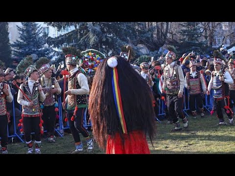 Cerbul de la Poiana Mărului 2024-2025🦌