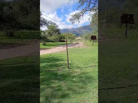 Los  zorritos maestros del hogar