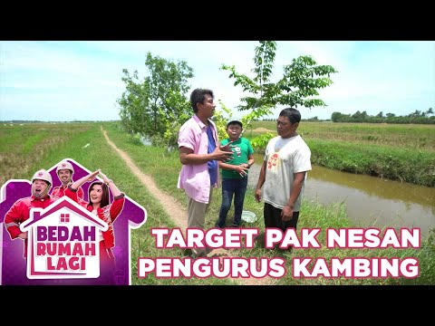 Target Pak Nesan Seorang Pegembala Kambing - Bedah Rumah Lagi