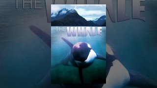The Whale