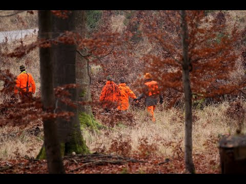 "Driven hunting" - still relevant? Part 2