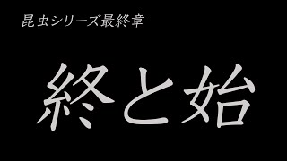 閲覧注意の昆虫食シリーズ！第９弾！終と始