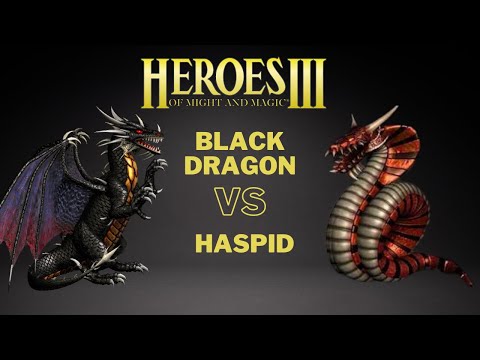 Heroes 3 - 3000 Black Dragons VS 3000 Haspids
