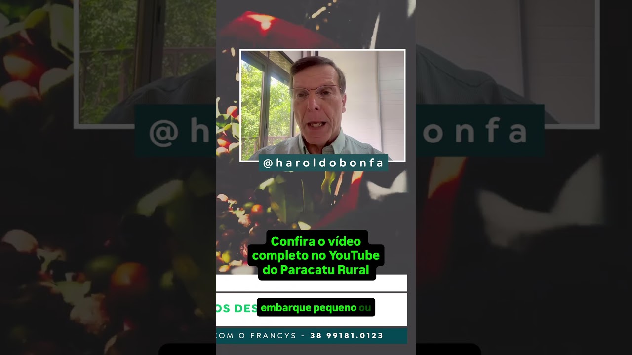 Volatilidade no Café: NY em Alta, Estoques Baixos e o Cenário para o Produtor – HAROLDO BONFÁ