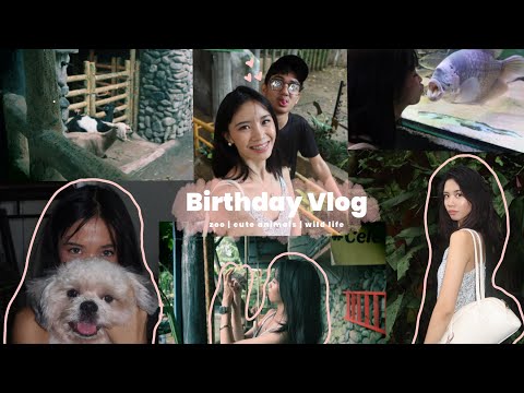 birthday vlog l zoo l cute animals l wild life 