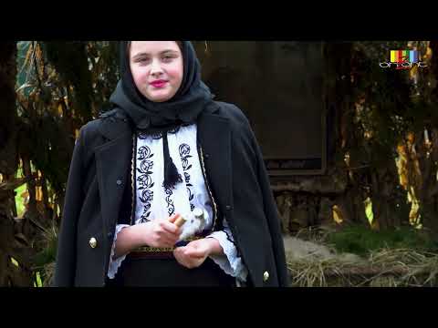 DARIA MOLDOVAN - PE STRADA DIN VIFLAIM