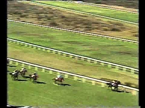 GRADE 2 Rex Trueform Fillies Handicap