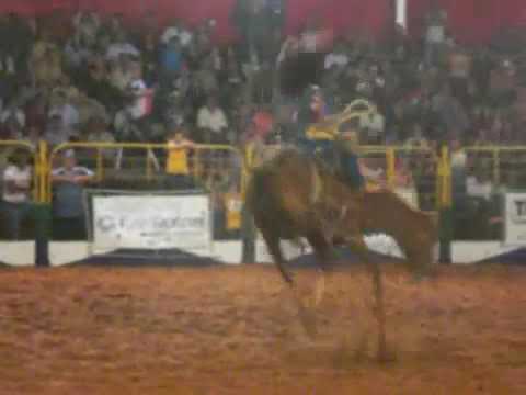 António caleiro X malícia