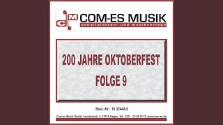 Oberbayern-Hitmix: Oberammergau (Navi Mix) / Nüchtern bin ich so schüchtern / Das Lied über...