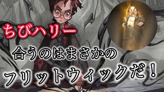 【ハリーポッター】出て来てから長く経った［ちびハリー］まさかのフリットウィックに採用だ！【魔法の覚醒】