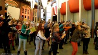 preview picture of video 'Flashmob in bibliotheek veendam.'