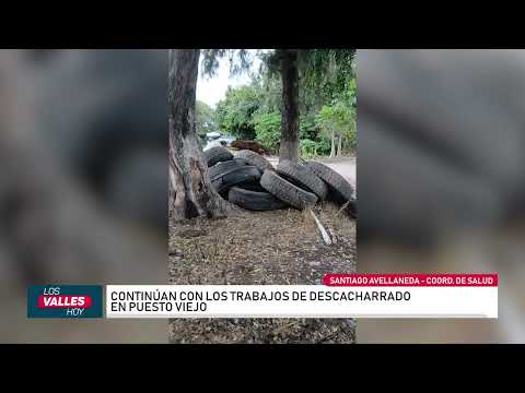 Alerta por Chikungunya: operativos de salud en Puesto Viejo