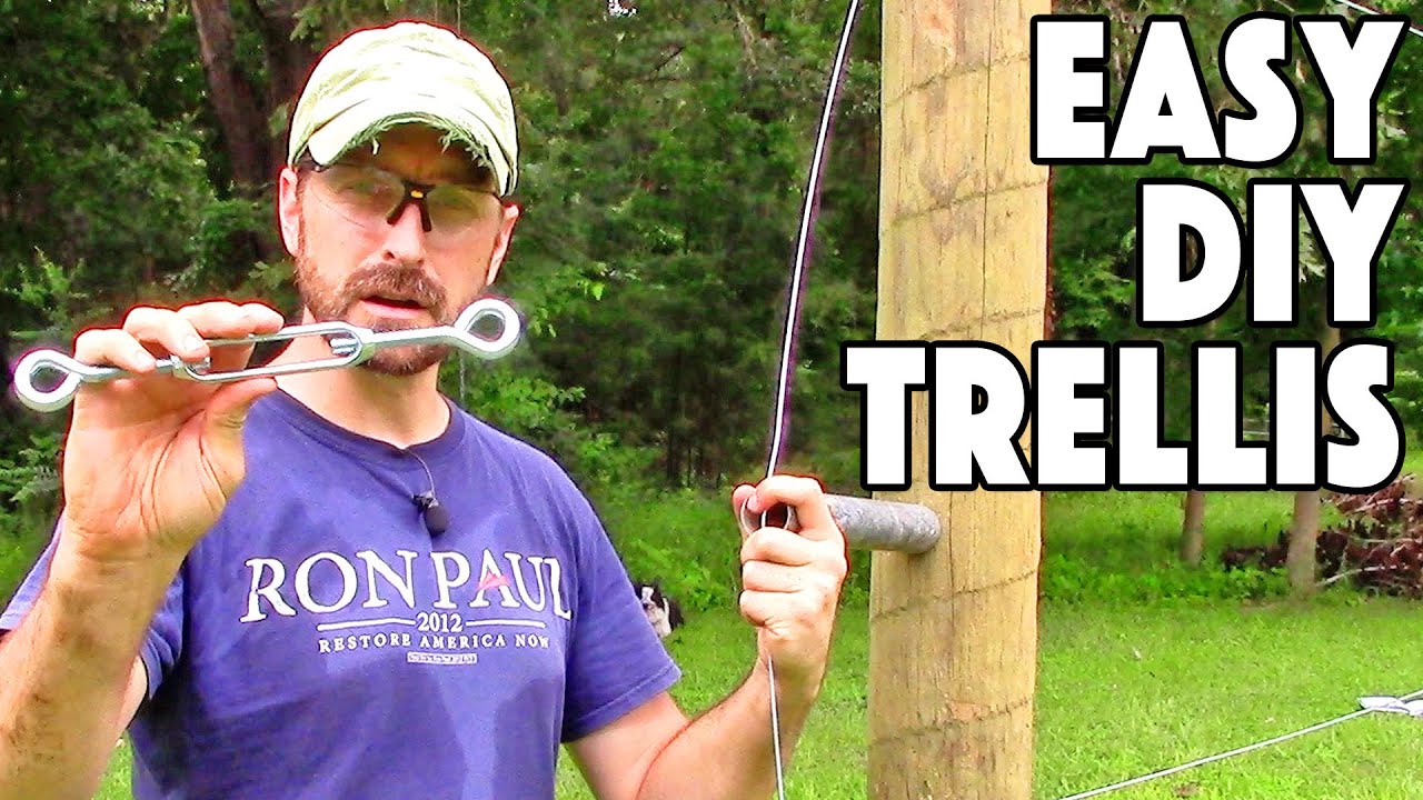 How To Build A Grape Vine Support Trellis. The MOST Popular Type.