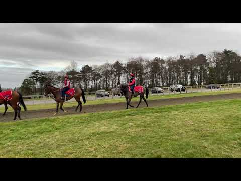 Iconique - Warren Hill - 3rd February 2021