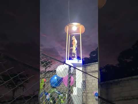 Bendición de Santa María