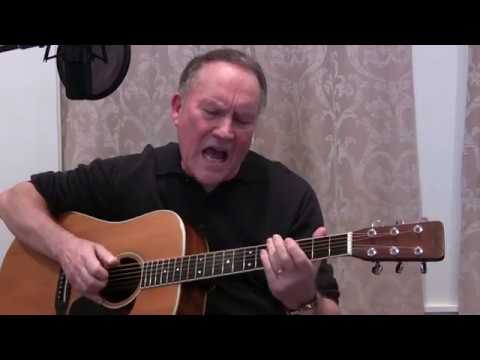 Treetop Flyer by Stephen Stills cover