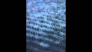 Love Becomes a Ghost