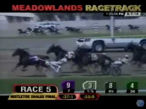 2010 Mistletoe Shalee - theharnessedge.com