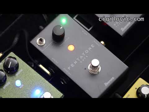 Ibanez Pentatone Gate 2025 - 2 year Thomann Warranty image 14