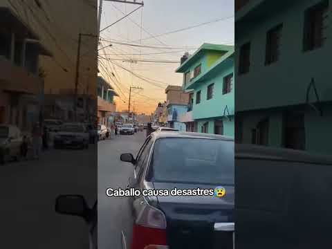 Caballo causa desastres😰