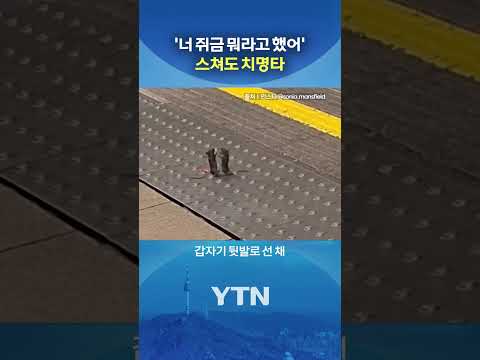 '흥미쥔쥔' #shorts / YTN
