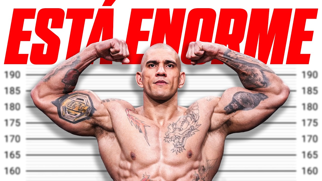 Alex Pereira está GIGANTE