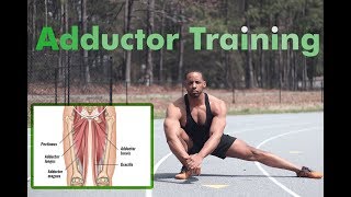 How to strengthen Adductors (fix hip pain)