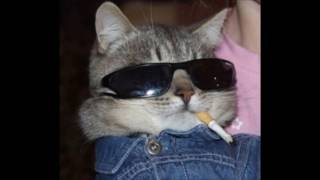 Slug Christ- Fuck Politics Based Freestyle.