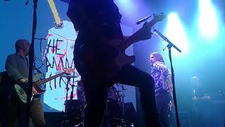 The Damned Things - We&#39;ve Got A Situation Here Live In Nashville