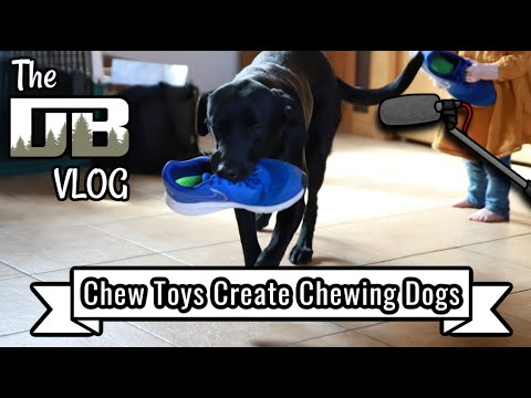 Chew Toys, Bones, and Other Toys Create Dogs that CHEW EVERYTHING! | Ep: #163
