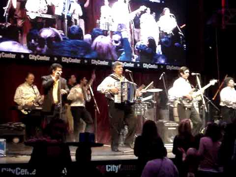 The Palmers (Los palmeras) LIVE