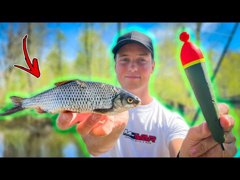 FLOAT FISHING BIG PIKE WITH ROACH | Team Galant