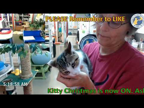 FFRC moment - Jacci introduces Barin - 2018.09.17