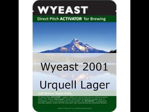 HBW #14 Coopers Lager with Urquell Yeast review