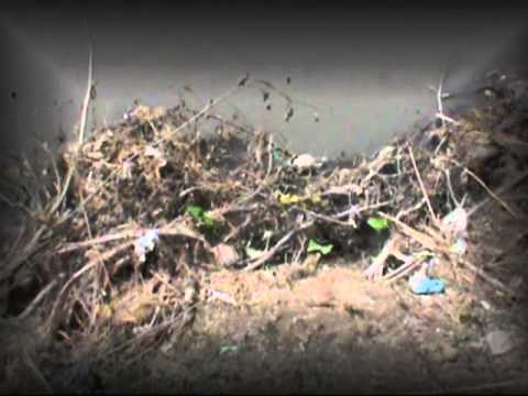 K NEWS:24.AUGUST.2014: BARSAAT 4