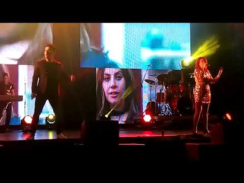 Cover Shallow- David Pereira & Gabriela Pina