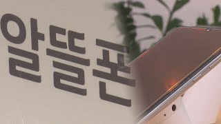 퀘이사존