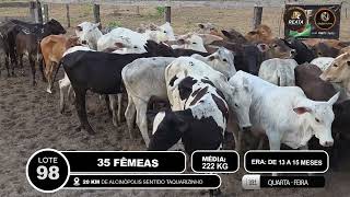 Vídeo LOTE 98