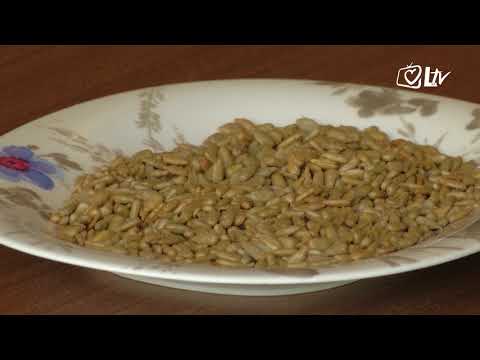 Zlatni savjeti - Blagodati suncokreta