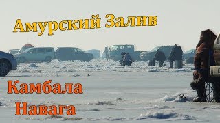 Ловля камбалы зимой в приморье