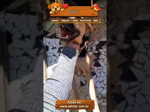 Vídeo de Bituca