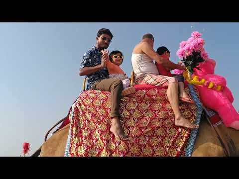 Saanvi's First Camel Ride at Puri Sea Beach 🐪🌊 | Toddler's Joyful Adventure with Papa