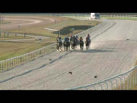 2021.10.03. 08. futam - "TEENDŐK A LÓTENYÉSZTÉS KÖRÜL" HENDIKEP (IV.o.) (szintetikus pálya)