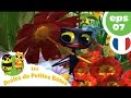 DRÔLES DE PETITES BÊTES EP07 Le Gâteau Pourri