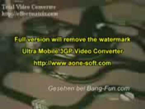 » perros graciosos videos chistosos   videos graciosos   videos divertidos