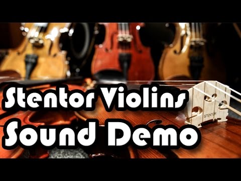 Stentor Violins
